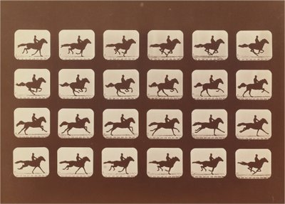 馬。 ランニング。 Phyrne L. No. 40 作： Eadweard Muybridge