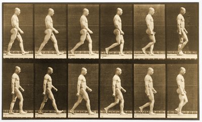 歩く裸の男性のイメージ・シーケンス、「Animal Locomotion」シリーズ、1881年頃（モノクロ写真 作： Eadweard Muybridge
