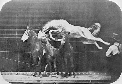 3頭の馬を飛び越える...栗の馬のホーネット、「動物の移動、動物の動きの連続する段階の電子写真による調査」、c.1872-85から 作： Eadweard Muybridge