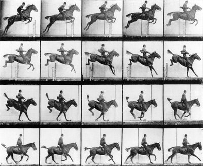 マンブリッジ、ロンドン、ミューブリッジの「動く動物」からのジャンプ、1907年 作： Eadweard Muybridge