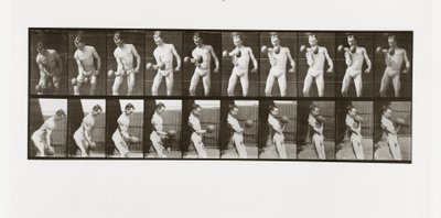 ダンベルを持ち上げる男、1887年、Animal Locomotionのプレート324 作： Eadweard Muybridge