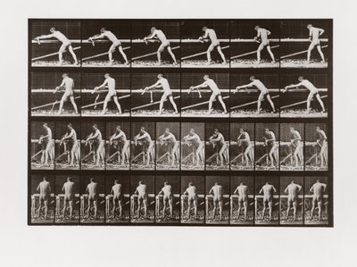 木を削る男、動物の移動からのプレート379、1887 作： Eadweard Muybridge