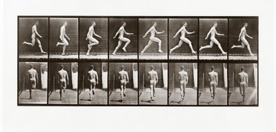 走っている男、アニマルロコモーションのプレート65、1887 作： Eadweard Muybridge