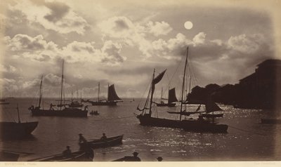 月光効果-パナマ湾、1877年（写真） 作： エドワード・マイブリッジ