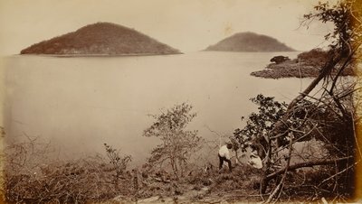 ペリーコとフラメンコ - パナマ、ナオス島より 作： Eadweard Muybridge