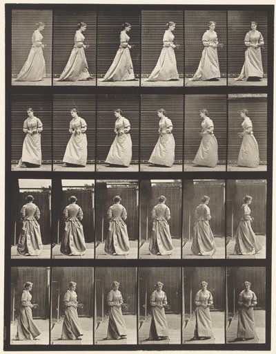 プレート100.ターンとアセンディング階段、1885 作： Eadweard Muybridge