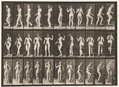 プレート101.ターンとアセンディングの階段、手を振る、1872-1885 作： Eadweard Muybridge