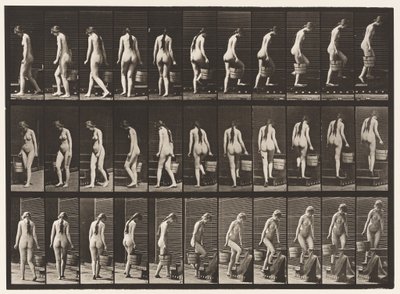 プレート102.回転階段と上り階段、RTハンドのバケットウォーター、1872〜1885 作： Eadweard Muybridge