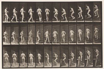 プレート103.ターンとアセンディングの階段、ピッチャーとゴブレットの手、1872-1885 作： Eadweard Muybridge