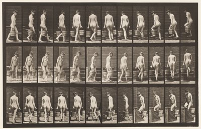 プレート104.回転階段と上り階段、両手にバケットウォーター、1872〜1885 作： Eadweard Muybridge