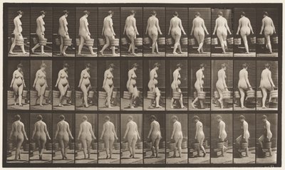 プレート106.上昇する階段、両手に水の入ったバケツ、1872-1885 作： Eadweard Muybridge