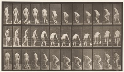 プレート108.階段を上る、曲がる、ピッチャーを上げる、1872-1885 作： Eadweard Muybridge