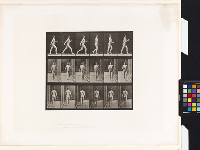 プレート10.ウォーキング 作： Eadweard Muybridge