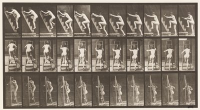 プレート110。昇順脚立、一度に2つのステップ 作： Eadweard Muybridge