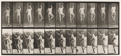 プレート111上昇する梯子 作： Eadweard Muybridge