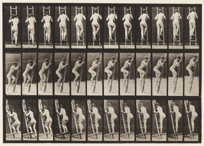プレート112。昇順はしご 作： Eadweard Muybridge
