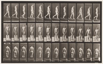 プレート114。降順傾斜、角度1、4、1872〜1885 作： Eadweard Muybridge