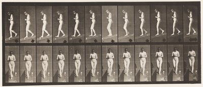 プレート115。前に手を握りしめた下降傾斜 作： Eadweard Muybridge