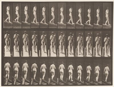 プレート116あごに片手を添えて傾斜を降りる 作： Eadweard Muybridge