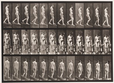 プレート117。降順インクライン、1872〜1885 作： Eadweard Muybridge