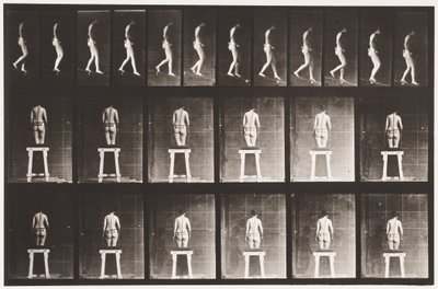 プレート118。下降傾斜 作： Eadweard Muybridge