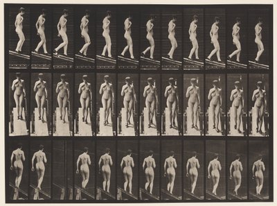 プレート119。下降傾斜、胸の右手（靴） 作： Eadweard Muybridge
