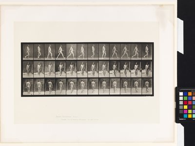 プレート11.ウォーキング 作： Eadweard Muybridge