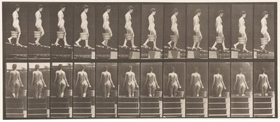 プレート120。降順傾斜、右手にバケットの水、1872〜1885 作： Eadweard Muybridge