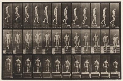 プレート125。下り階段 作： Eadweard Muybridge