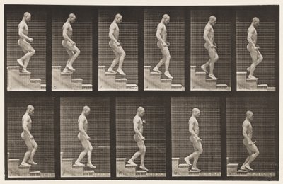 プレート126。下り階段 作： Eadweard Muybridge