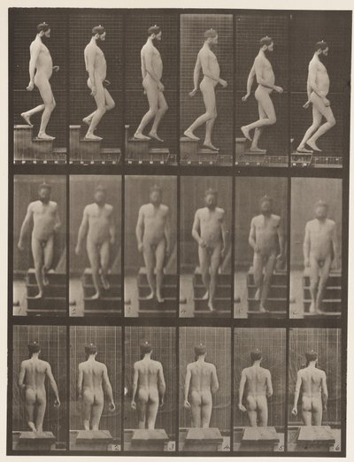 プレート127。降順階段、1872〜1885 作： Eadweard Muybridge