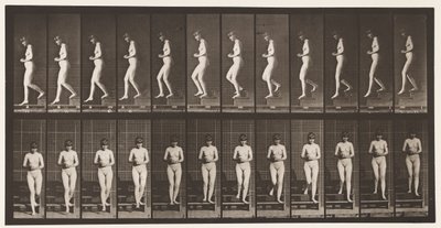 プレート128。降順階段、握り手、1872-1885 作： Eadweard Muybridge
