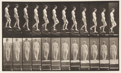 プレート129。下り階段、握りしめられた手 作： Eadweard Muybridge