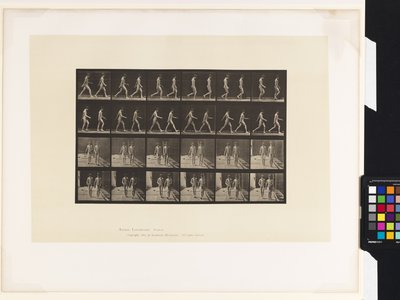 プレート12.ウォーキング 作： Eadweard Muybridge