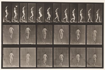 プレート130。降順の階段、握り手、1872-1885 作： Eadweard Muybridge