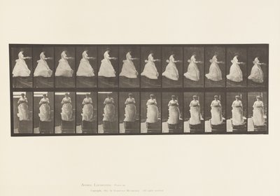 プレート134.手に洗面器を持って階段を下りる 作： Eadweard Muybridge