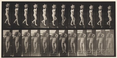 プレート136。1872〜1885年の肩の降順階段フルDemijohn 作： Eadweard Muybridge