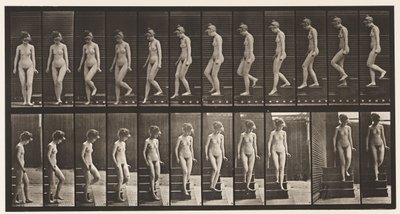 プレート137。下り階段、向きを変える 作： Eadweard Muybridge