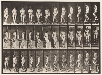 プレート138。下り階段が曲がる。左手に投手 作： Eadweard Muybridge