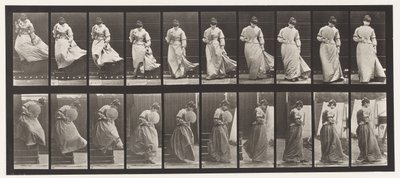 プレート142.降順階段、巻き返しドレスキャッチ、1885 作： Eadweard Muybridge