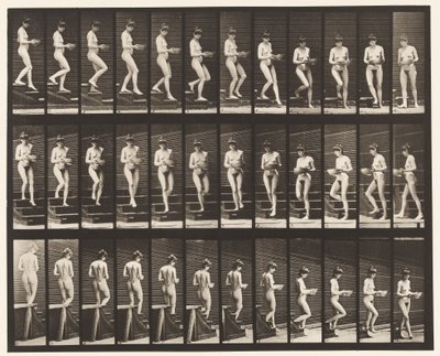 プレート144階段を降りるとき、手に持った洗面器を回す 作： Eadweard Muybridge