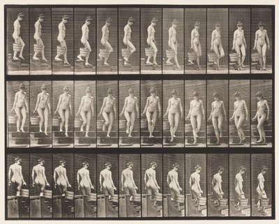 プレート145。降順階段。右手でバケツの水を回す、1872〜1885 作： Eadweard Muybridge