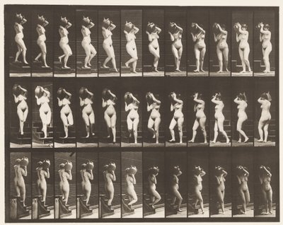プレート147。降順階段。右肩の水瓶を回す、1872〜1885 作： Eadweard Muybridge