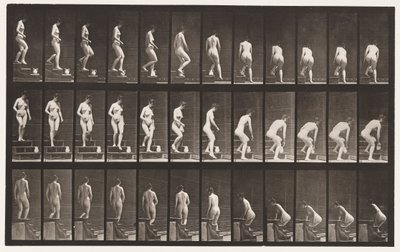 プレート149。降順階段。投手を持ち上げるためにかがむ、1872-1885 作： Eadweard Muybridge