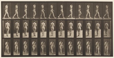 プレート14.ウォーキング、チン、1872-1885での右手 作： Eadweard Muybridge