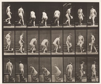 プレート150。降順階段。かがむ、リフティングピッチャー、ターニング、1872-1885 作： Eadweard Muybridge