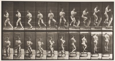 プレート151。降順ステップラダー、方向転換、ロックインハンズ、1872〜1885 作： Eadweard Muybridge