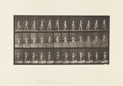 プレート174。縄跳びロープを使った走りとジャンプ、1885 作： Eadweard Muybridge