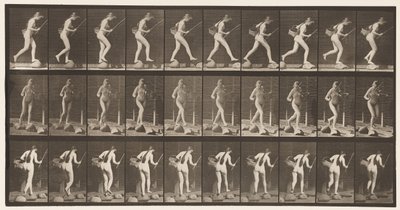 プレート177。釣り竿とバスケットでステップストーンの小川を渡る 作： Eadweard Muybridge