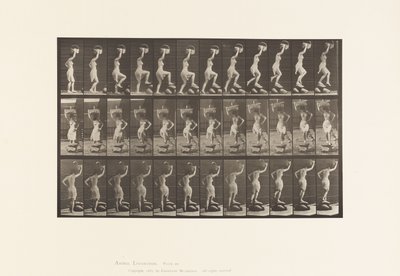 プレート179。岩の上を踏む、頭の上のバスケット 作： Eadweard Muybridge